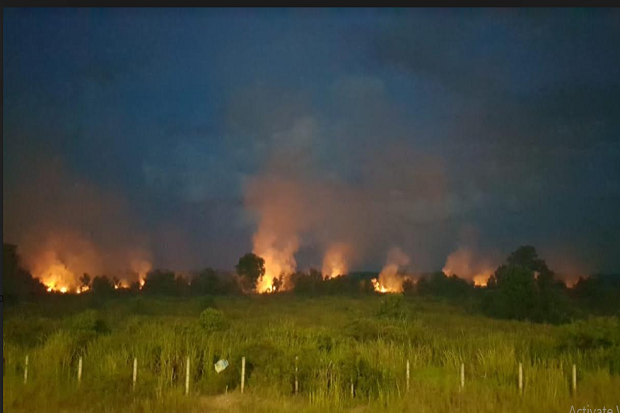 Dua Hektar Lahan di Tepian Tol Palindra Terbakar