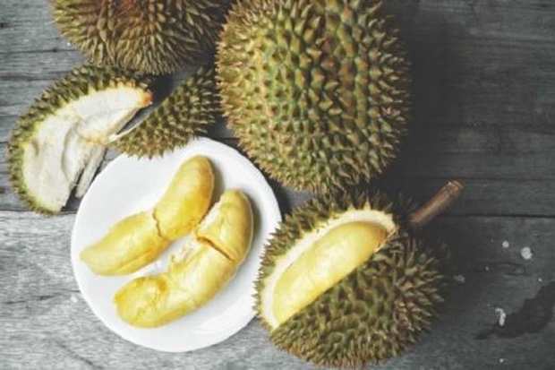 Jangan Ngaku Pecinta Durian kalau Belum Coba 5 Jenis Durian Ini