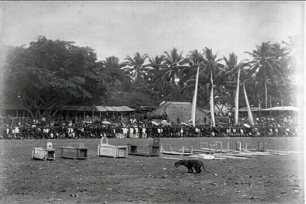 Rampogan Macan-Sima Maesa, Cara Orang Jawa Membunuh Kolonial Belanda