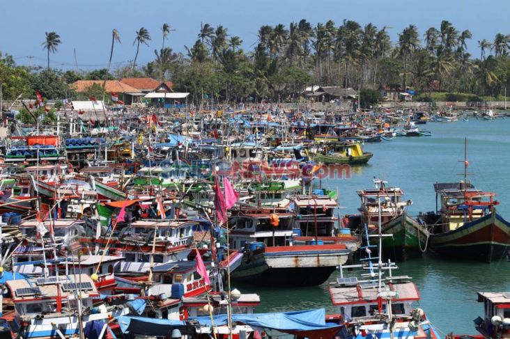 Aplikasi Laut Nusantara Bikin Nelayan Bisa Tangkap Ikan-Ikan Mahal