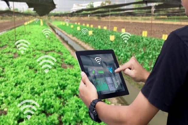 Perkuat Riset dan Kembangkan Teknologi, Pupuk Indonesia Dorong Milenial Lirik Pertanian