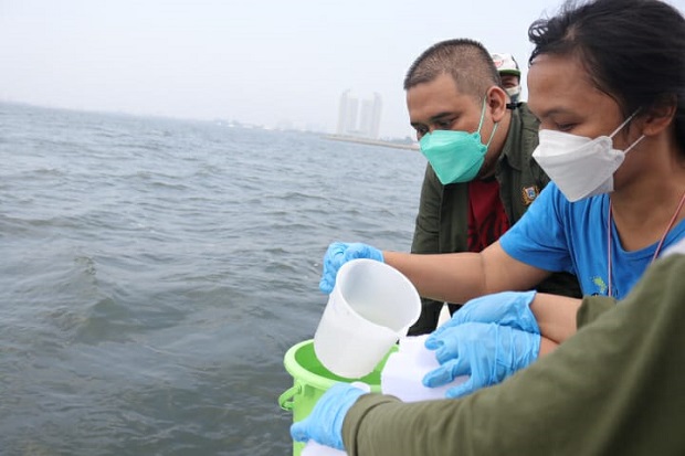 Teluk Jakarta Diduga Tercemar Paracetamol, DLH Periksa Sampel Air Laut