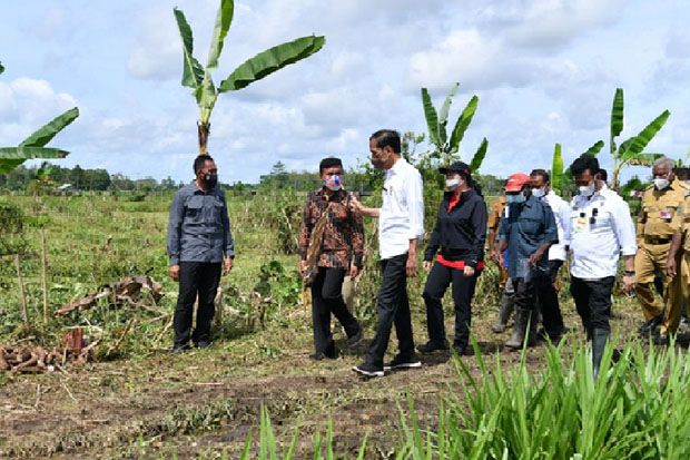 Jokowi Harap Anak Muda Papua Bisa Maksimalkan Potensi Daerah