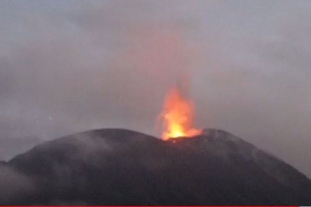 Erupsi Gunung Lewotolok Terus Meningkat, Semburkan Lava Pijar hingga 700 Meter
