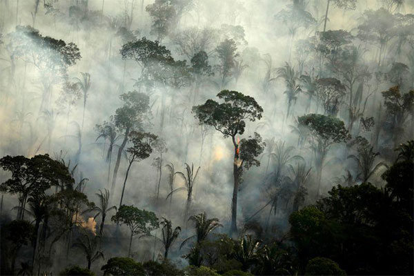 Hutan Amazon Bertambah Rusak, Kehidupan Manusia kian Terancam