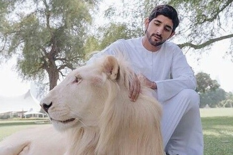 Hewan-hewan Eksotis Peliharaan Para Pangeran Arab, Nomor 2 Sangat Buas