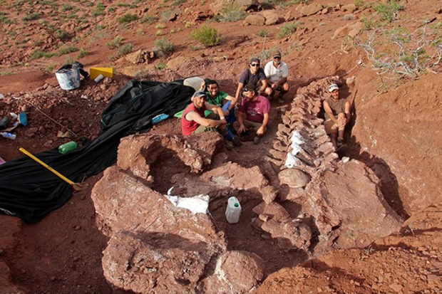 Fosil Terbesar di Dunia Ditemukan di Argentina, Ini Fakta-Faktanya
