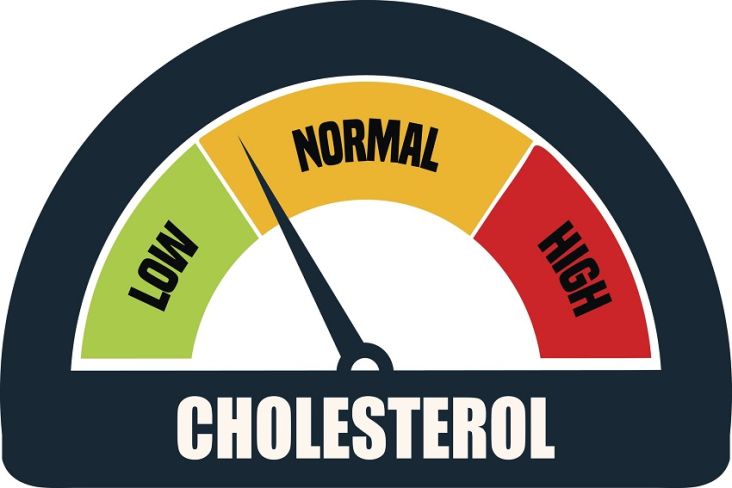 5 Cara Mudah Menurunkan Kolesterol Tinggi, Tanpa Obat dan Alami