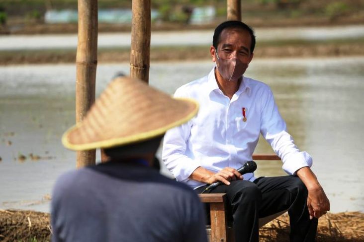 Presiden Jokowi Apresiasi Kinerja Sektor Pertanian