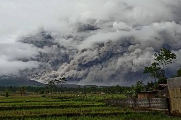 Jokowi Sebut 2 Ribu Rumah Harus Direlokasi Akibat Erupsi Gunung Semeru