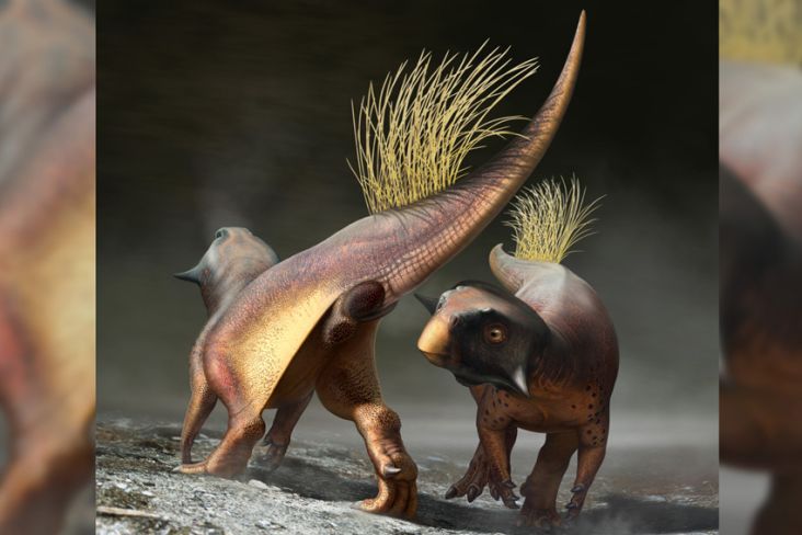 10 Penemuan Dinosaurus Luar Biasa Selama Tahun 2021, Nomor 7 Bergigi Seperti Hiu