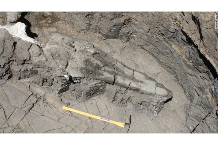 Fosil Reptil Laut Raksasa di Amerika Serikat Ungkap Misteri Soal Evolusi