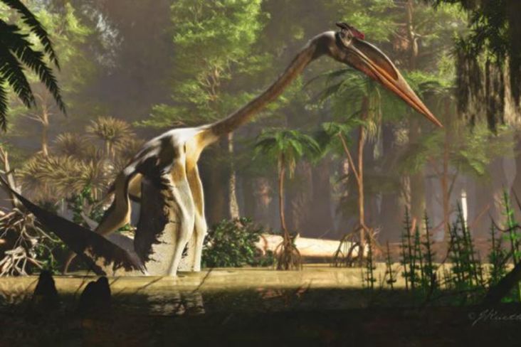 Dinosaurus Terbang Terbesar Ini Punya Bentuk Tubuh yang Aneh