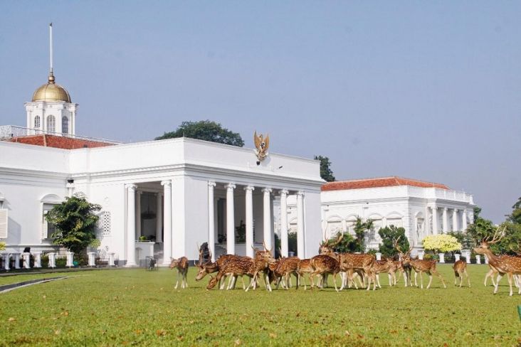 Asal Mula Rusa di Istana Bogor yang Sudah Ada sejak 1814
