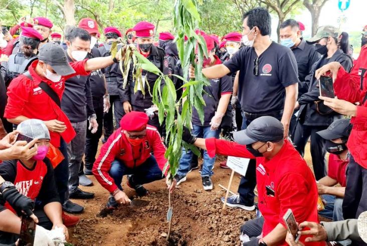 Tradisi Penghijauan, PDIP Bersihkan DAS dan Tanam Pohon