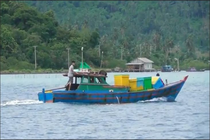 Tangkapan Ikan di Laut Bakal Dibatasi, Nelayan di Natuna Menangis