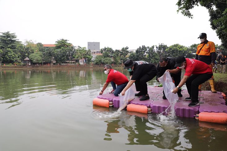 HUT PDIP, BMI Tanam 200 Pohon dan Tebar Benih Ikan di Waduk Danau Kampung Bintaro
