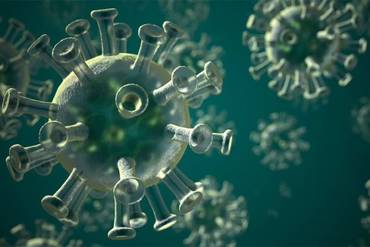 Peneliti China Peringatkan Kemunculan Virus Baru NeoCov, Apa Itu?
