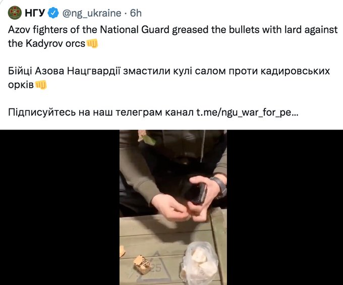 Siasat Licik, Neo-Nazi Ukraina Siapkan Peluru Lapis Lemak Babi untuk Tentara Muslim Chechnya
