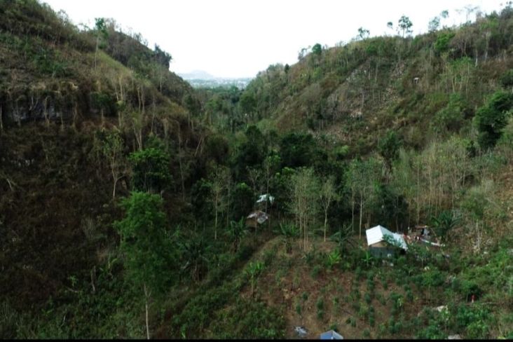 Pengembangan 4 Zona Pariwisata Hutan Bowosie di Labuan Bajo Serap 10.000 Tenaga Kerja