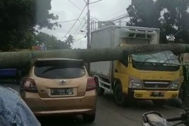 Pohon Tumbang di Tangsel, 2 Mobil Rusak dan Pemotor Dikabarkan Terluka
