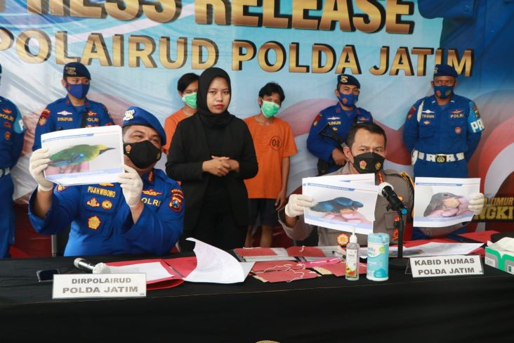 Ratusan Satwa Dilindungi dari Banjarmasin Gagal Diselundupkan ke Surabaya