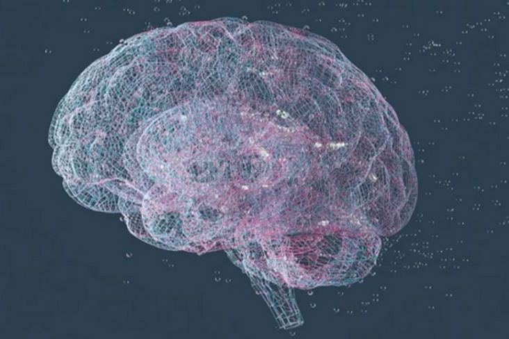 Ilmuwan Berhasil Pecahkan Kode Rahasia yang Ada di Otak Manusia