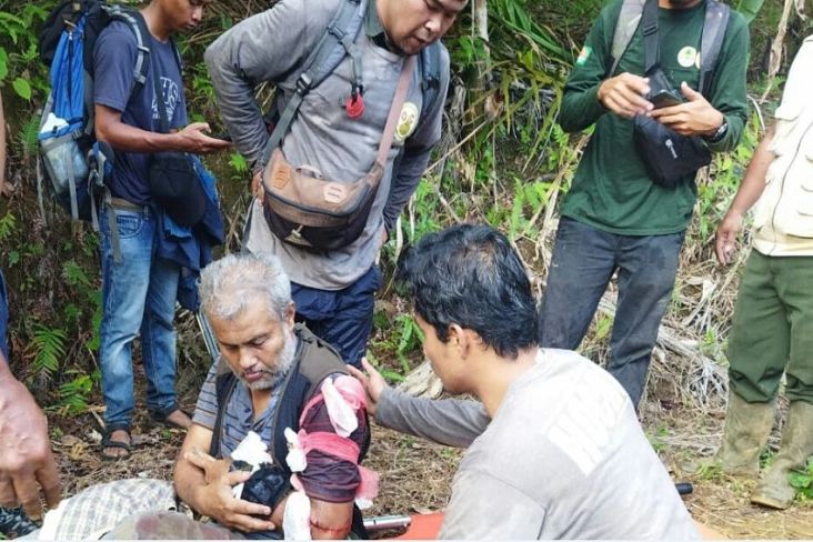 Dokter Hewan BKSDA Diserang Harimau Sumatera yang Terperangkap Jerat Warga di Tapsel