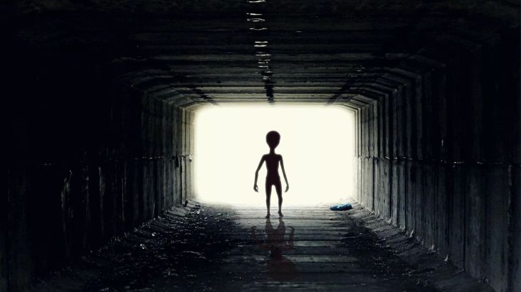 Coba Kontak Alien, NASA Kirim Gambar Manusia Telanjang Ke Luar Angkasa