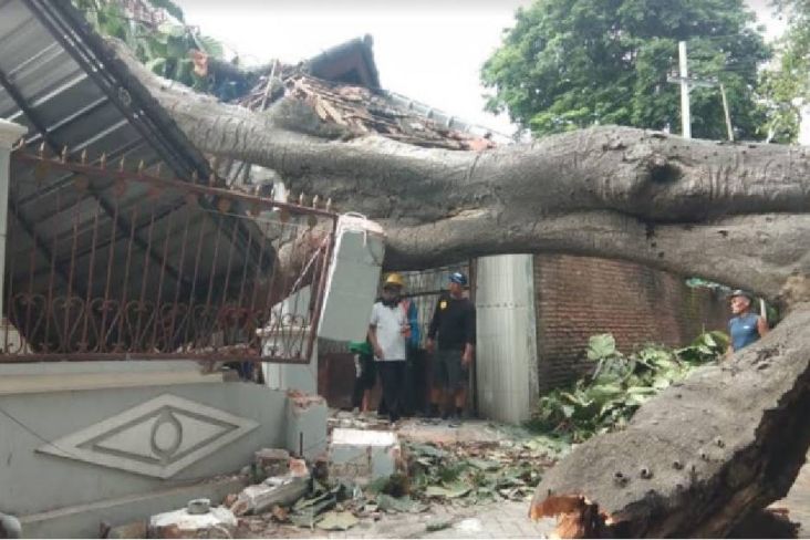 Angin Puting Beliung Terjang Depok, 81 Rumah Rusak dan 9 Pohon Tumbang