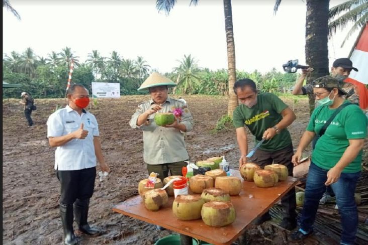 Kementan Dorong Petani Sulawesi Utara Terus Budidayakan Kelapa