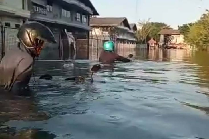 Kesaksian Warga, Banjir Rob Tanjung Emas Semarang Terparah: Motor Cuma Terlihat Spion