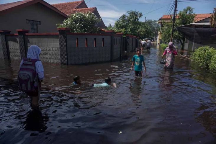 Waspada! 15 Pesisir Indonesia Berpotensi Banjir Rob pada 30 Mei-7 Juni 2022