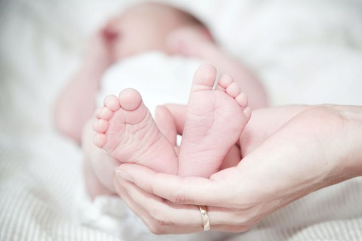 Permintaan Bayi Tabung Tinggi, Morula IVF Perluas Pasar dan Bisnis Baru