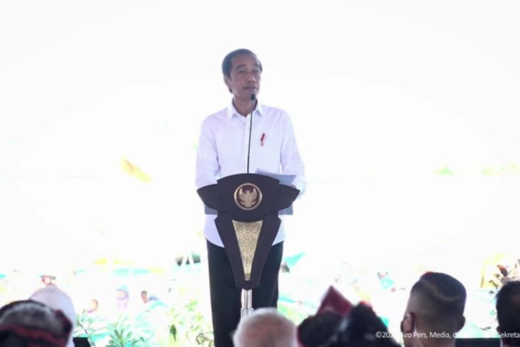 Jokowi Jengkel Sertifikasi dengan HGB Kecil Dipersulit, Giliran Besar Diberikan