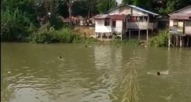 Kampung Narkoba Digerebek Polisi, Belasan Orang Lari Kocar-kacir Lompat ke Sungai