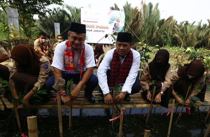 Rayakan HUT DKI Jakarta, Apical Group-Pemprov DKI Tanam 3.000 Mangrove