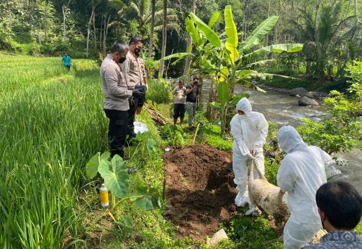 50 Bangkai Kambing Dibuang di Sungai Serang Semarang, Polisi Buru Pelakunya