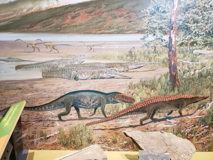 Terungkap, Asal Mula Dinosaurus Jadi Penguasa Periode Jurassic