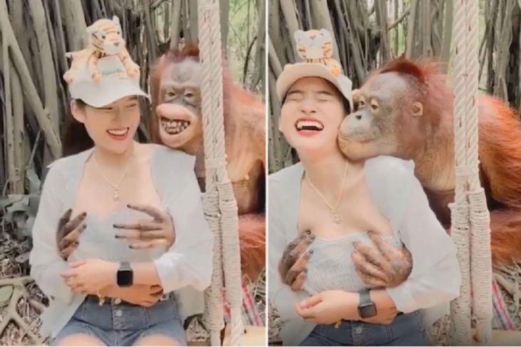 Viral, Orangutan Nakal Ciumi Turis Cantik di Bonbin Bangkok