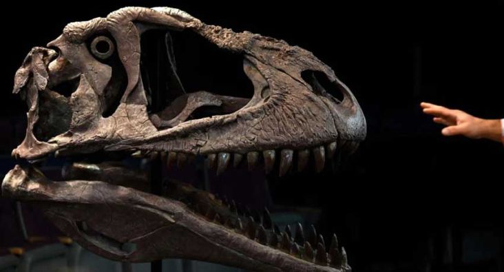 Ternyata Ini Penyebab Dinosaurus Besar Seperti T-Rex Punya Lengan Kecil