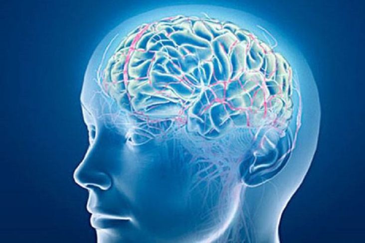 Webinar Unair Bahas 7 Hal Penting yang Pengaruhi Kinerja Otak