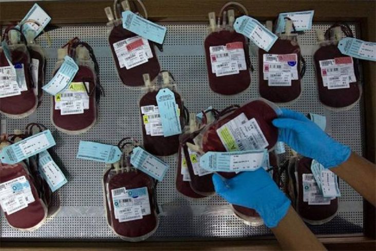 Gawat! Terkontaminasi Penyakit Menular, Ratusan Sample Darah di PMI Surabaya Dimusnahkan
