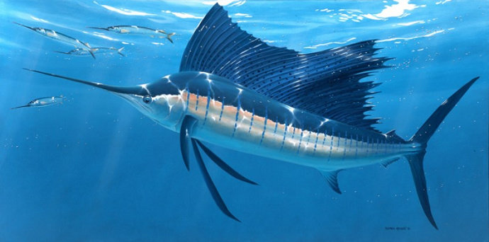 5 Ikan Tercepat di Dunia, Nomor 1 Tembus 100 Km Per Jam