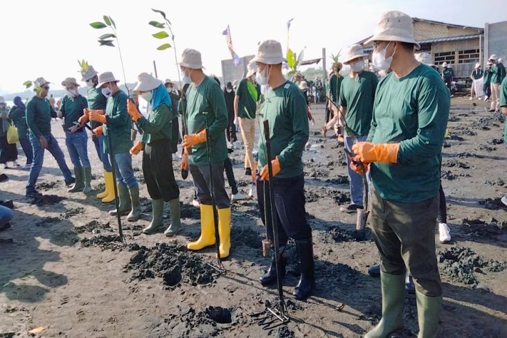 Hari Mangrove Sedunia, JICT Luncurkan Program Gerakan Peduli dan Berbudaya Lingkungan