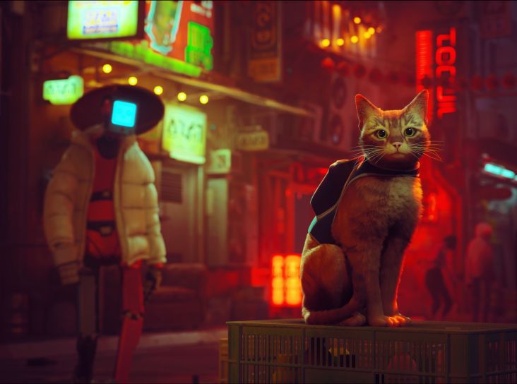 Developer Game Stray Bekerjasama untuk Rawat Kucing Jalanan