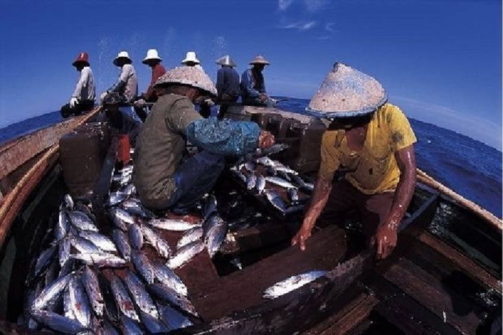 Harga Ikan Dimonopoli Tauke, Nelayan di Bintan, Karimun, dan Lingga Butuh Pelabuhan