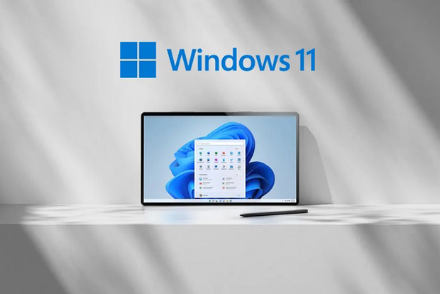 Cara Mengatasi Gagal Booting Windows 11, Kenali dan Pahami