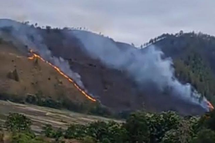 40 Hektare Lahan di Perbukitan Danau Toba Terbakar, 2 Terduga Pelaku Ditangkap
