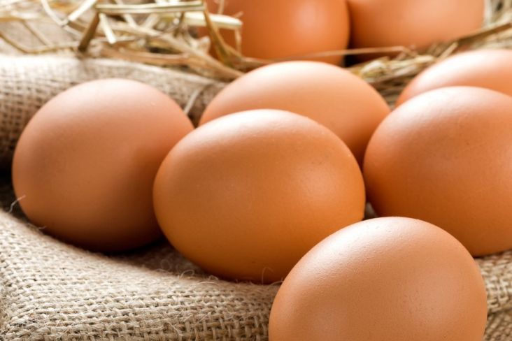 4 Telur yang Mengandung Kolesterol, Mana Paling Tinggi?